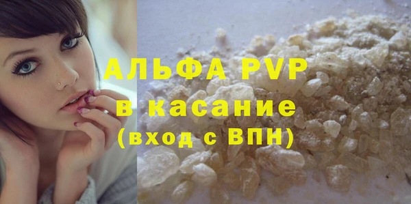 сатива Вяземский