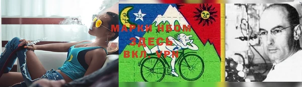 сатива Вяземский