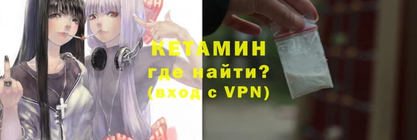 сатива Вяземский