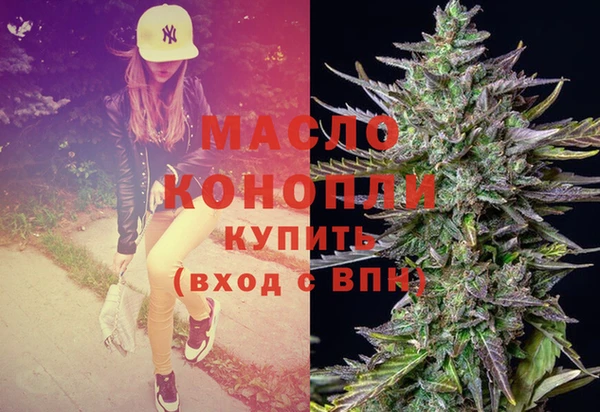 сатива Вяземский
