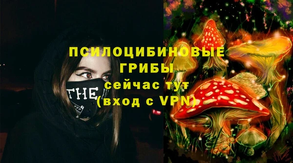 сатива Вяземский