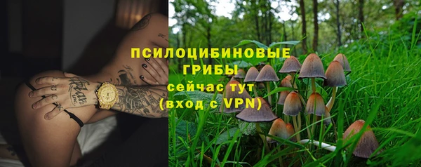 дмт Вязьма
