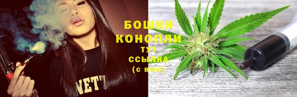 сатива Вяземский