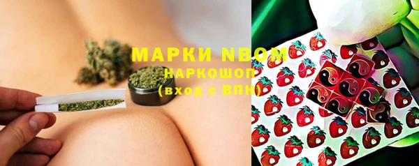 сатива Вяземский