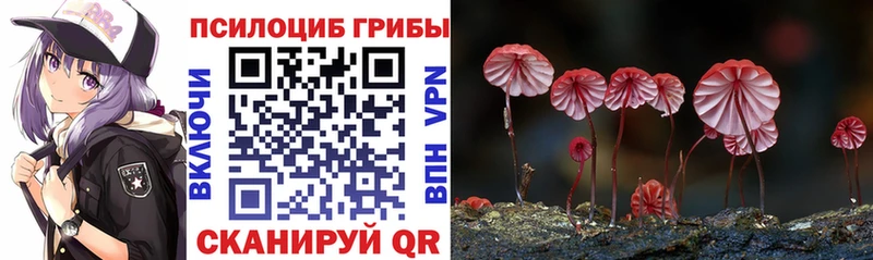 Галлюциногенные грибы Psilocybe  купить наркотик  Красноярск 