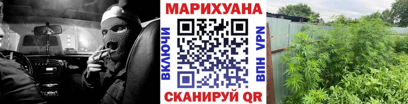 Марихуана OG Kush  Красноярск 